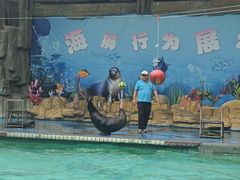 -合肥野生动物园