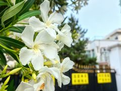 -西郊壹号