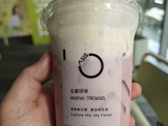 -宝藏绿洲(万象前海店)