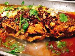 香辣炝锅鱼-树厨贵州菜(大十字店)