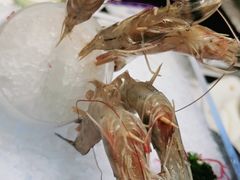 -红鼎豆捞·非遗鲍皇汤火锅(宝丰路店)