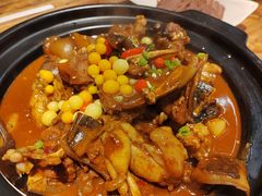 甲鱼牛蛙锅-洪湘记川湘·甲鱼馆(四海凯悦美食广场店)