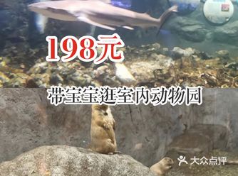 198元带宝宝逛室内动物园！