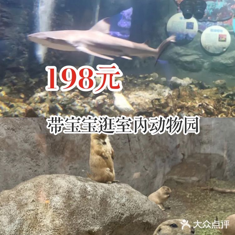 198元带宝宝逛室内动物园！
