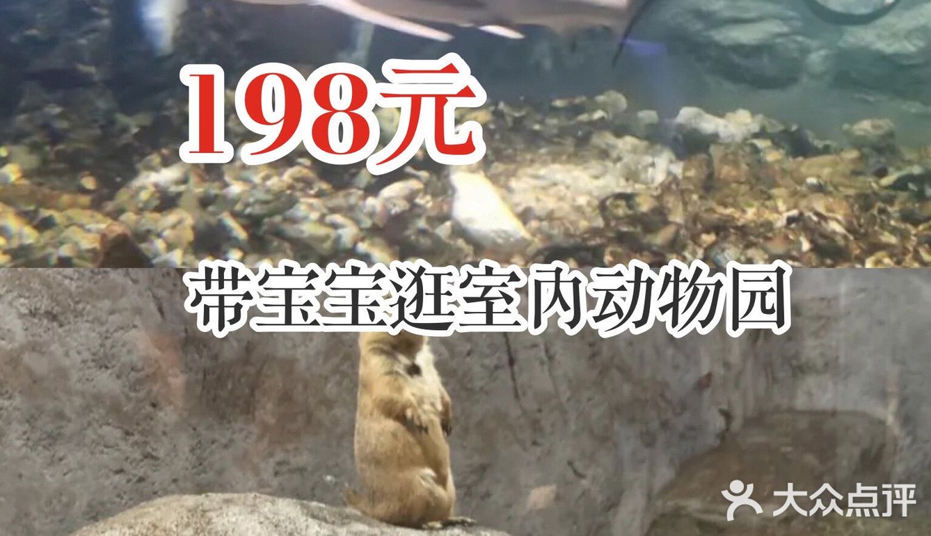 198元带宝宝逛室内动物园！