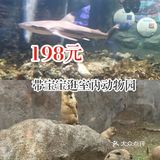198元带宝宝逛室内动物园！