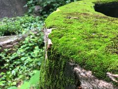 -碓臼峪自然风景区