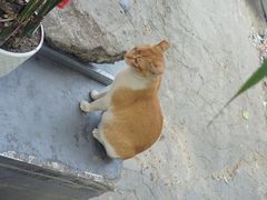 -骏丰酒楼(黄编店)