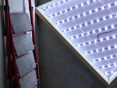 -Strawberry Butterfly草莓蝴蝶日式水果挞