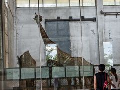 -石家庄市动物园