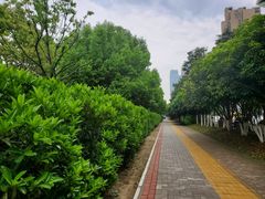 -合肥野生动物园