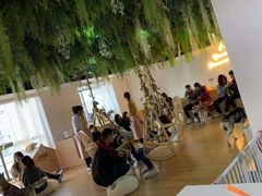 -Husky Go! 哈士奇体验馆·宠物咖啡厅狗咖