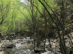 -十渡东湖港风景区