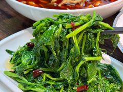 -陈麻婆豆腐(旗舰店)