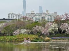 -海珠湖公园