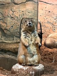 点击看大图 -Zoolung Zoolung动物主题公园(海信广场店)