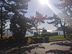 -棒棰岛宾馆景区