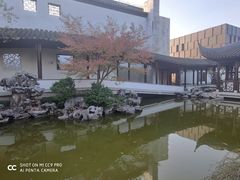 -秋霞圃