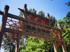 -御林古桑园