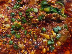 -柴窝堡22号辣子鸡·传承新疆菜