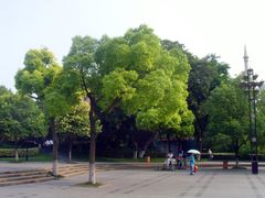 -常州古运河南大街文化旅游区-人民公园