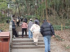-灵顺寺