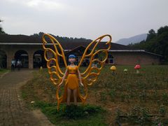 -田野绿世界