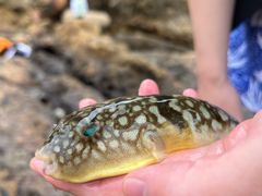 -西涌国际滨海旅游区