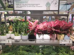 -鹿岛生活(熙地港店)