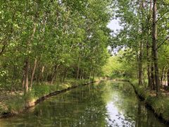 -溱湖国家湿地公园