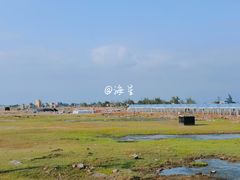 -莺歌海盐场
