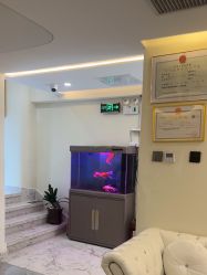 -海涛医疗美容·面部抗衰·注射美鼻