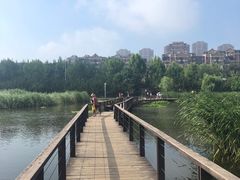 -前关湿地公园