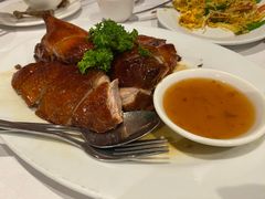 -食为先(Shark Fin)