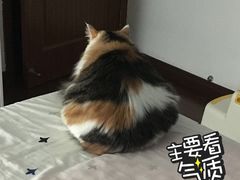 -上海市第十人民医院(总院)