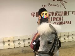 -李振强马术运动推广中心(南城店)