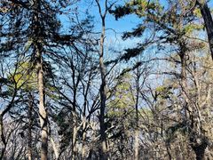 -终南山南五台景区