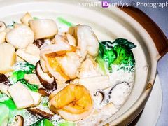 -新同乐鱼翅酒家(美丽华店)