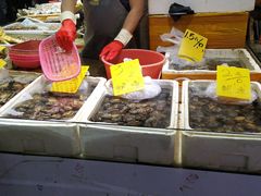 -珠光市场(文德南路)