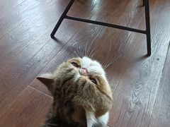 -参差咖啡(水果湖公园店)