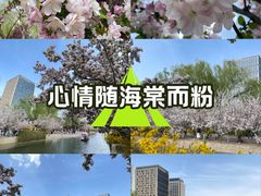 -元大都城垣遗址公园