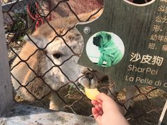 -意大利农场度假村