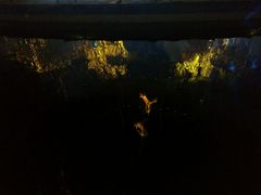 android_upload_pic-灵玲国际马戏城