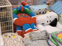 -帕帕拉兹宠物(亚洲旗舰店)