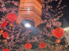 -卢大鲜鱼头捞饭(美利广场店)