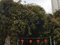 -西苑公园