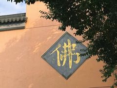 -鸡鸣赐茶(鸡鸣寺路店)