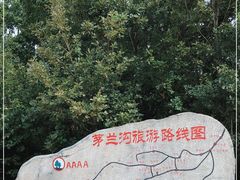 -茅兰沟国家森林公园