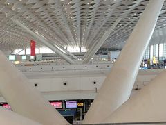 -郑州新郑国际机场-T2航站楼