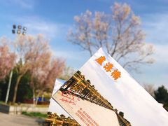 -卢沟桥文化旅游区